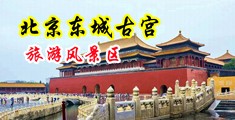 逼毛淫水网址中国北京-东城古宫旅游风景区